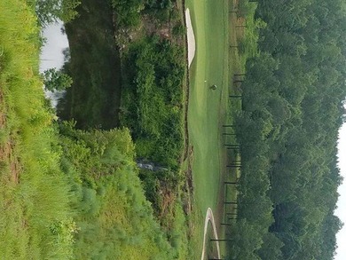 Discover the perfect setting for your dream home at 915 on Currahee Golf Club in Georgia - for sale on GolfHomes.com, golf home, golf lot