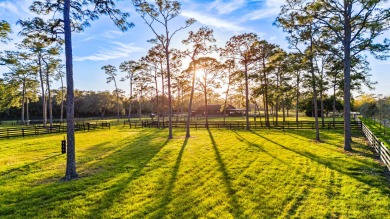 Gated community and privately gated 50 acre estate  offers on The Dye Preserve in Florida - for sale on GolfHomes.com, golf home, golf lot