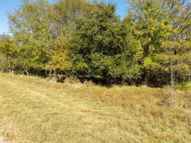 Come and check out this 0.32 acre lot near the Old Course in the on White Bluff Resort - Old Course in Texas - for sale on GolfHomes.com, golf home, golf lot