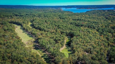 Stunning 3-level, 4-bedroom, 4-bath home on 6 lots, offering 2 on Tannenbaum Golf Club in Arkansas - for sale on GolfHomes.com, golf home, golf lot