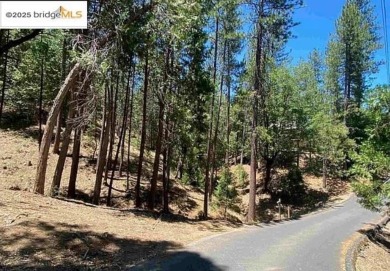 Nestled in the pines and cedars on a quiet cul-de-sac, this on Pine Mountain Lake Country Club in California - for sale on GolfHomes.com, golf home, golf lot