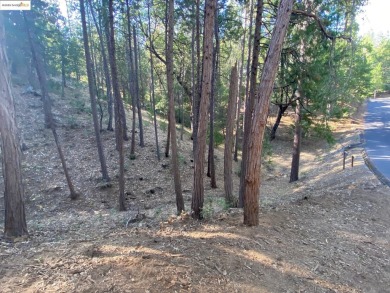 Nestled in the pines and cedars on a quiet cul-de-sac, this on Pine Mountain Lake Country Club in California - for sale on GolfHomes.com, golf home, golf lot