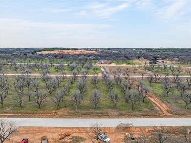 Discover the perfect setting for your aviation lifestyle at 1424 on Nutcracker Golf Club in Texas - for sale on GolfHomes.com, golf home, golf lot