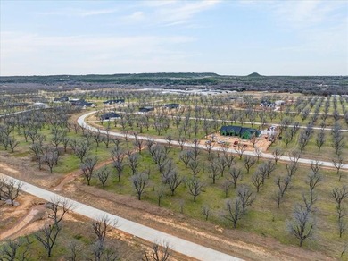 Discover the perfect setting for your aviation lifestyle at 1424 on Nutcracker Golf Club in Texas - for sale on GolfHomes.com, golf home, golf lot