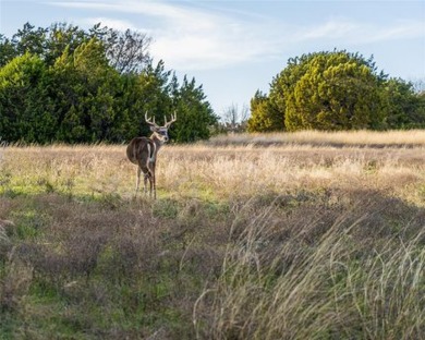 Discover Elegant Lakeside Living in White Bluff!!!  Experience on White Bluff Resort - New Course in Texas - for sale on GolfHomes.com, golf home, golf lot