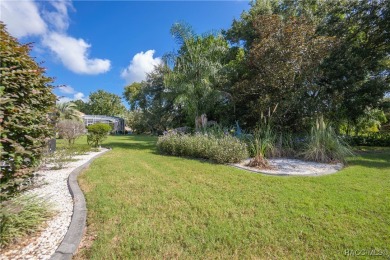 If a golf cart lifestyle and a splash of luxury sound like your on Skyview At Terra Vista Golf and Country Club in Florida - for sale on GolfHomes.com, golf home, golf lot
