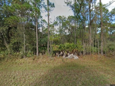 VACANT LAND GOLF COMMUNITY!!  0.50 an acre in Inndian Lake on Indian Lake Estates Golf and Country Club in Florida - for sale on GolfHomes.com, golf home, golf lot