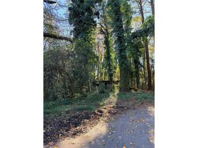 Here's your chance to grab a great lot in one of Atlanta's on Browns Mill Golf Course in Georgia - for sale on GolfHomes.com, golf home, golf lot