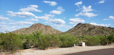A rare offering, ''Desert Island'' at Estrella is the only on Estrella Mountain Ranch Golf Course in Arizona - for sale on GolfHomes.com, golf home, golf lot