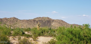 A rare offering, ''Desert Island'' at Estrella is the only on Estrella Mountain Ranch Golf Course in Arizona - for sale on GolfHomes.com, golf home, golf lot