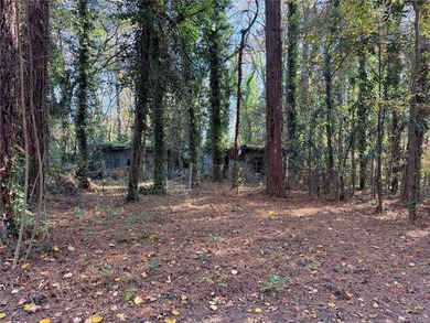 Here's your chance to grab a great lot in one of Atlanta's on Browns Mill Golf Course in Georgia - for sale on GolfHomes.com, golf home, golf lot