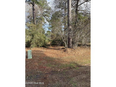 Beautiful 1/3-acre lot on the pond overlooking the fairway on #9 on Brunswick Plantation and Golf Resorts in North Carolina - for sale on GolfHomes.com, golf home, golf lot