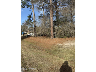 Beautiful 1/3-acre lot on the pond overlooking the fairway on #9 on Brunswick Plantation and Golf Resorts in North Carolina - for sale on GolfHomes.com, golf home, golf lot