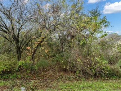 Stunning view in a prime location on the Hole 6 Green of the New on White Bluff Resort - New Course in Texas - for sale on GolfHomes.com, golf home, golf lot