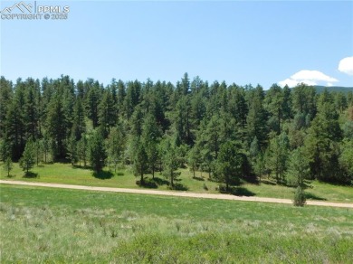 1-Acre Lot in popular Perry Park * Welcome to the Foothills of on Perry Park Country Club in Colorado - for sale on GolfHomes.com, golf home, golf lot