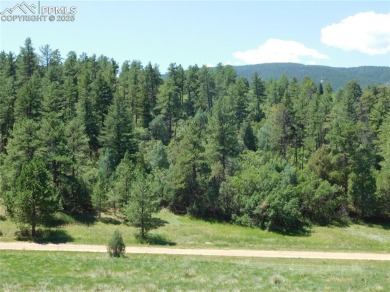 1-Acre Lot in popular Perry Park * Welcome to the Foothills of on Perry Park Country Club in Colorado - for sale on GolfHomes.com, golf home, golf lot