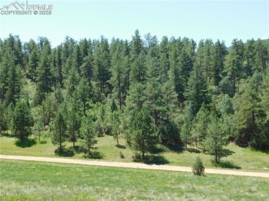 1-Acre Lot in popular Perry Park * Welcome to the Foothills of on Perry Park Country Club in Colorado - for sale on GolfHomes.com, golf home, golf lot