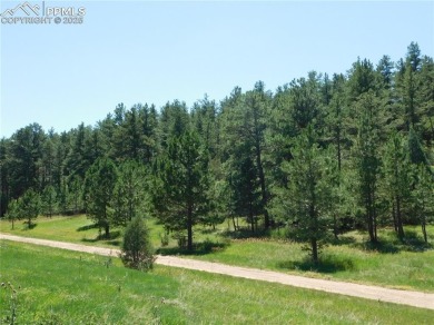 1-Acre Lot in popular Perry Park * Welcome to the Foothills of on Perry Park Country Club in Colorado - for sale on GolfHomes.com, golf home, golf lot