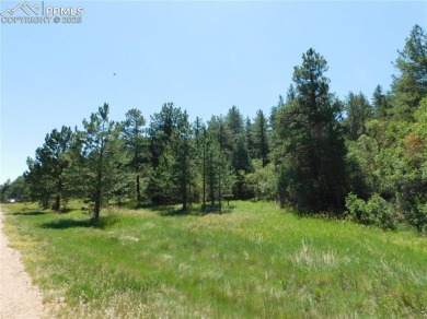 1-Acre Lot in popular Perry Park * Welcome to the Foothills of on Perry Park Country Club in Colorado - for sale on GolfHomes.com, golf home, golf lot