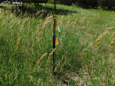 1-Acre Lot in popular Perry Park * Welcome to the Foothills of on Perry Park Country Club in Colorado - for sale on GolfHomes.com, golf home, golf lot