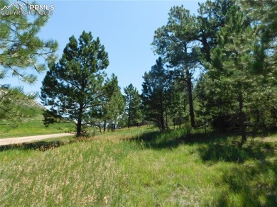 1-Acre Lot in popular Perry Park * Welcome to the Foothills of on Perry Park Country Club in Colorado - for sale on GolfHomes.com, golf home, golf lot