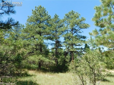1-Acre Lot in popular Perry Park * Welcome to the Foothills of on Perry Park Country Club in Colorado - for sale on GolfHomes.com, golf home, golf lot