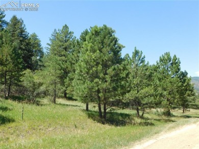 1-Acre Lot in popular Perry Park * Welcome to the Foothills of on Perry Park Country Club in Colorado - for sale on GolfHomes.com, golf home, golf lot