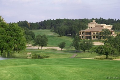 EXCEPTIONAL LUXURY RESIDENCE IN THE EXTRAORDINARY GATED on Skyview At Terra Vista Golf and Country Club in Florida - for sale on GolfHomes.com, golf home, golf lot