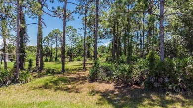 Great Opportunity to Own This beautiful large 1/3 Acre Lot in on Rotonda Golf and Country Club - Long Marsh  in Florida - for sale on GolfHomes.com, golf home, golf lot
