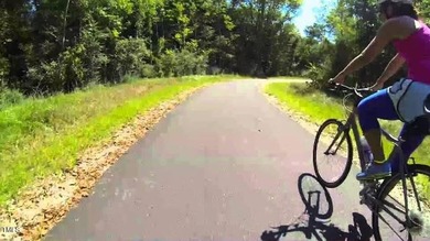 Homesite WILL accommodate a pool! MAIN LEVEL PRIMARY SUITE on Brevofield Golf Links in North Carolina - for sale on GolfHomes.com, golf home, golf lot