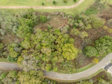 Stunning lot with incredible views on the #6 Green of the New on White Bluff Resort - New Course in Texas - for sale on GolfHomes.com, golf home, golf lot