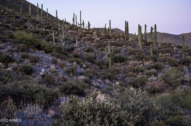 FULL GOLF MEMBERSHIP AVAILABLE TO BUYER AND READY TO TRANSFER on Desert Mountain Golf Club - Renegade Course in Arizona - for sale on GolfHomes.com, golf home, golf lot