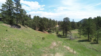 Large 2.19 acre building site tucked away in the trees off of on Southern Hills Golf Course in South Dakota - for sale on GolfHomes.com, golf home, golf lot