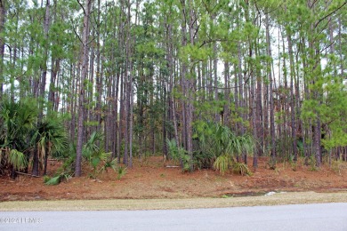 Welcome to a prime piece of Callawassie Island paradise! on Callawassie Island Club in South Carolina - for sale on GolfHomes.com, golf home, golf lot