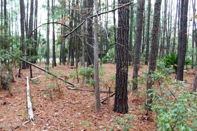 Welcome to a prime piece of Callawassie Island paradise! on Callawassie Island Club in South Carolina - for sale on GolfHomes.com, golf home, golf lot