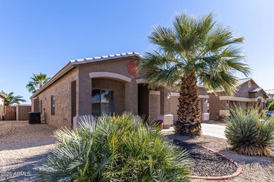 Beautiful single-level home on a premium golf course lot in San on The Golf Club At Johnson Ranch in Arizona - for sale on GolfHomes.com, golf home, golf lot
