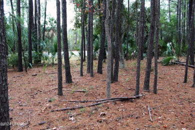 Welcome to a prime piece of Callawassie Island paradise! on Callawassie Island Club in South Carolina - for sale on GolfHomes.com, golf home, golf lot