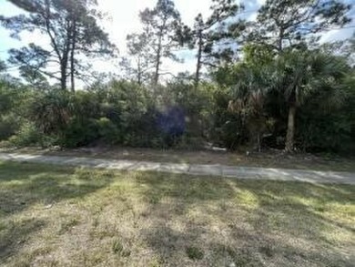 Prime Commercial Development Site. 120 x 260. Zoned Neighborhood on Island Pines Golf Club in Florida - for sale on GolfHomes.com, golf home, golf lot