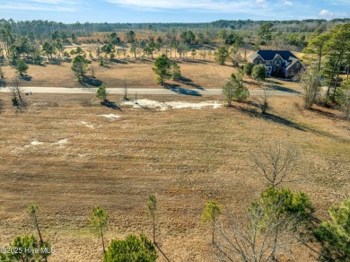 Build Your Dream Home in the Southeast's Hidden Gem

Discover on River Landing Golf Course in North Carolina - for sale on GolfHomes.com, golf home, golf lot