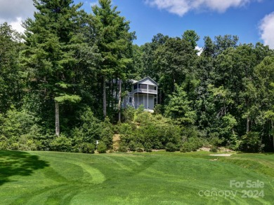 Distinctively Different. Unique contemporary home situated on on Kenmure Country Club in North Carolina - for sale on GolfHomes.com, golf home, golf lot