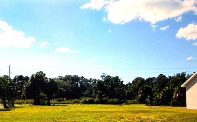 INVESTORS, look at this great opportunity. Prime 0.33-acre on Rotonda Golf and Country Club The Hills Course in Florida - for sale on GolfHomes.com, golf home, golf lot