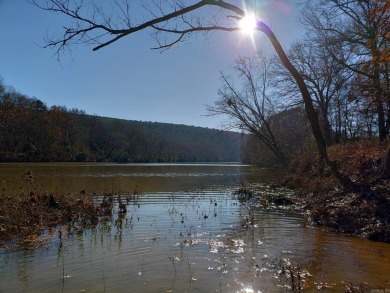 A RIVER RUNS THROUGH IT!!Located approx. 27 mi SE of Waldron on  in Arkansas - for sale on GolfHomes.com, golf home, golf lot