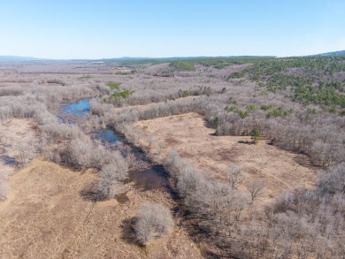 A RIVER RUNS THROUGH IT!!Located approx. 27 mi SE of Waldron on  in Arkansas - for sale on GolfHomes.com, golf home, golf lot