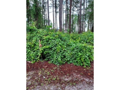 An absolute beautiful lot in St James Bay Golf & Pickleball on St. James Bay in Florida - for sale on GolfHomes.com, golf home, golf lot