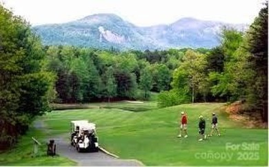 3600 sq ft, 3 bedroom, 3 bath, Southland Log home just 1 mile on Rumbling Bald Resort on Lake Lure in North Carolina - for sale on GolfHomes.com, golf home, golf lot