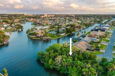 Ready to build on waterfront 0.30 acre lot featuring a fully on Palm Harbor Golf Club in Florida - for sale on GolfHomes.com, golf home, golf lot