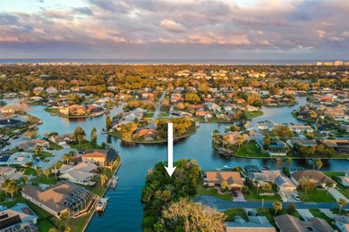 Ready to build on waterfront 0.30 acre lot featuring a fully on Palm Harbor Golf Club in Florida - for sale on GolfHomes.com, golf home, golf lot