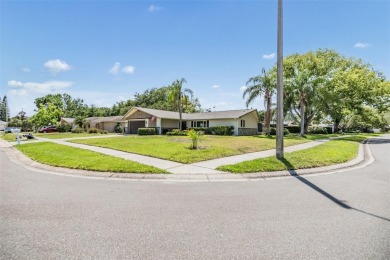 Under contract-accepting backup offers. Welcome to your dream on Countryside Country Club in Florida - for sale on GolfHomes.com, golf home, golf lot