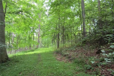 Build your dream home here! 42+ wooded acreage located in the on Lone Pine Golf Club  in Pennsylvania - for sale on GolfHomes.com, golf home, golf lot