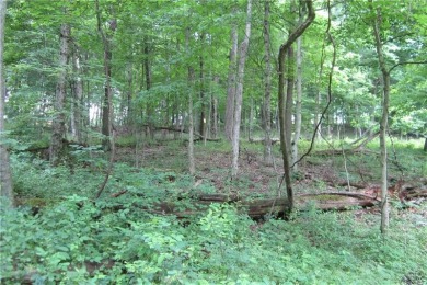 Build your dream home here! 42+ wooded acreage located in the on Lone Pine Golf Club  in Pennsylvania - for sale on GolfHomes.com, golf home, golf lot